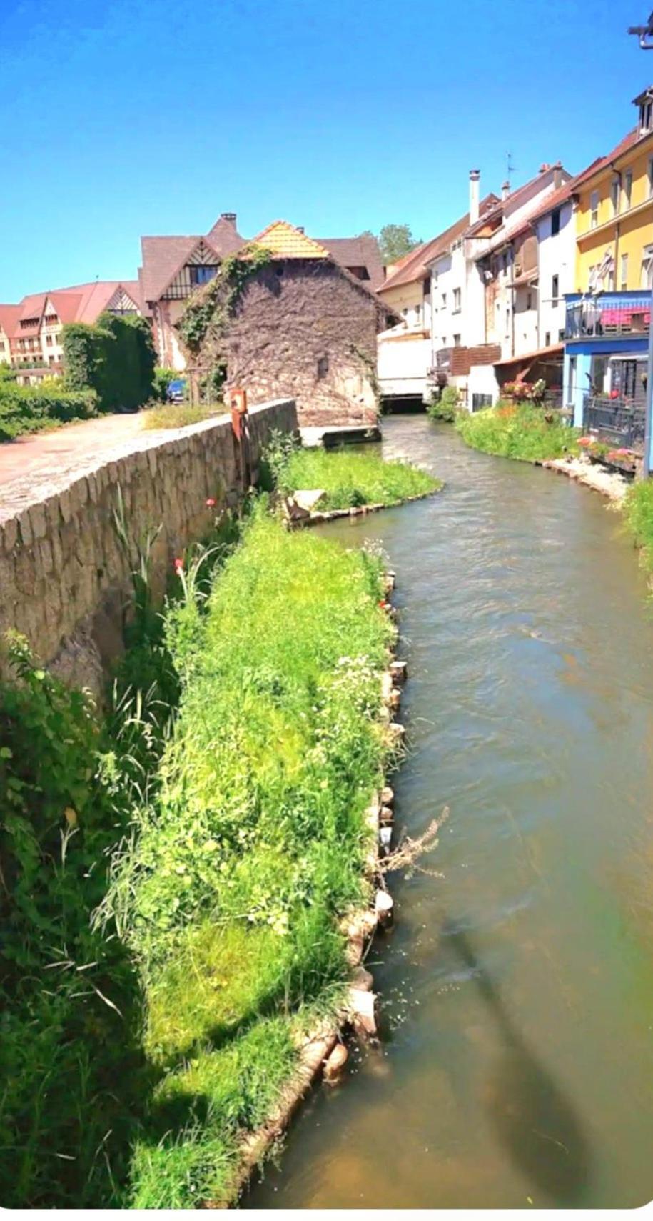 L'Atypique Des Remparts Βίλα Ensisheim Εξωτερικό φωτογραφία